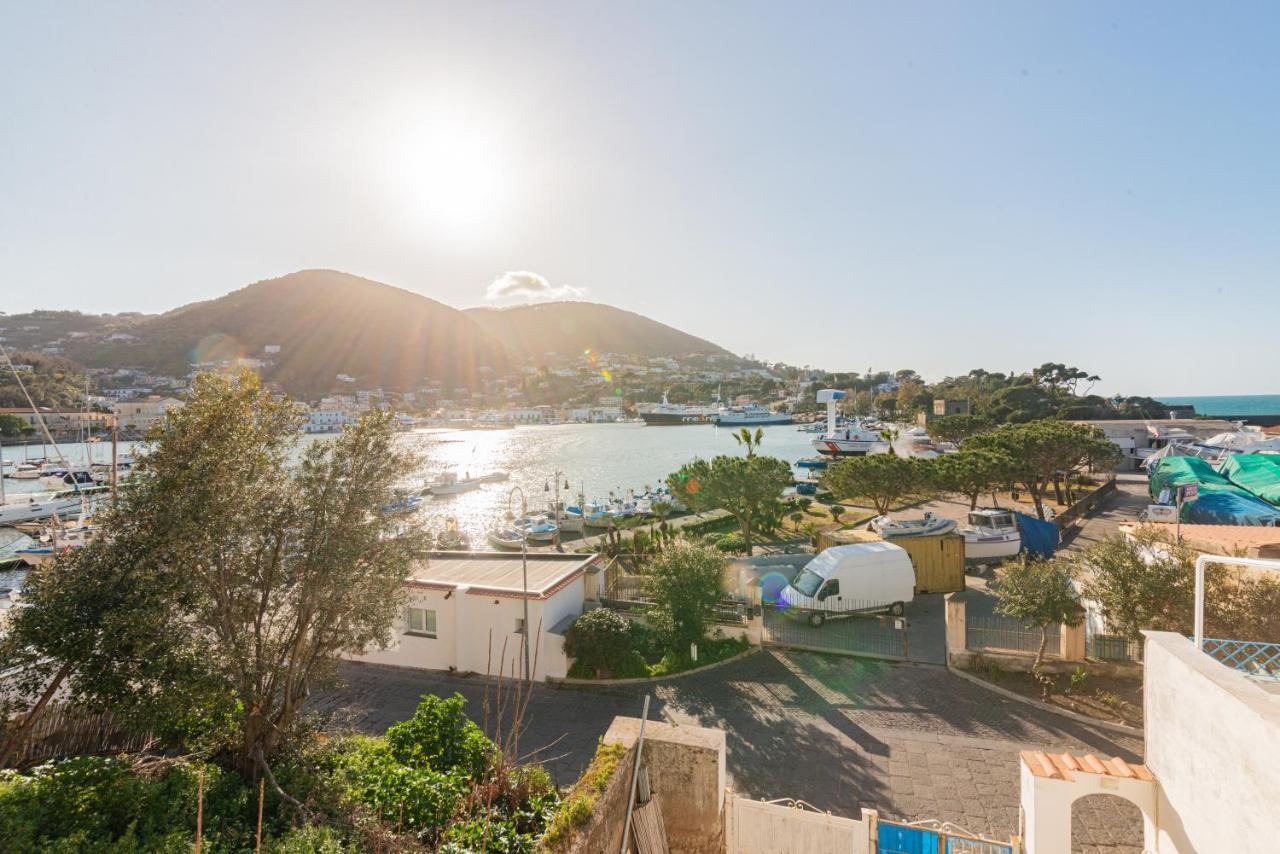 La Casa Sul Porto Lejlighed Ischia Eksteriør billede